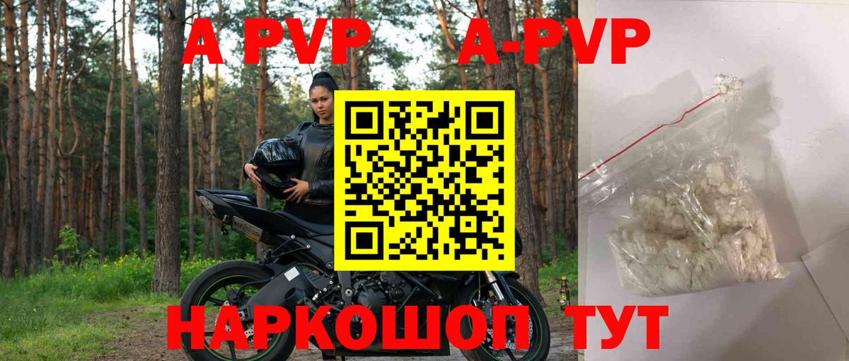 Гудермес  Alfa_PVP  Вход с VPN  Alfa_PVP СК 