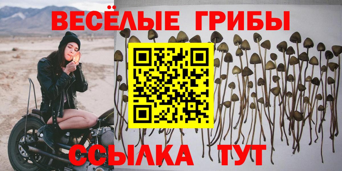 Гудермес  Галлюциногенные грибы прущие грибы  Псилоцибиновые грибы Psilocybine cubensis  Вход с VPN 